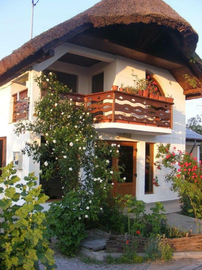 Casa Nicu Murighiol Exterior foto
